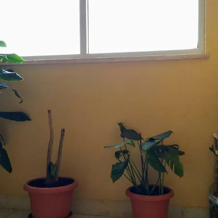 Guest house D.ana