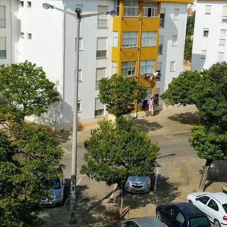 D.ana Lagos