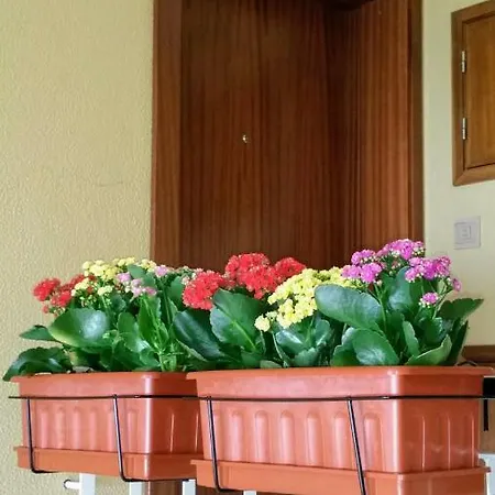 D.ana Гостевой дом